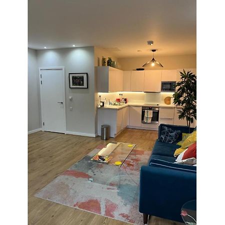Fantastic Modern 2 Bedroom Flat In Lambeth Londyn Zewnętrze zdjęcie