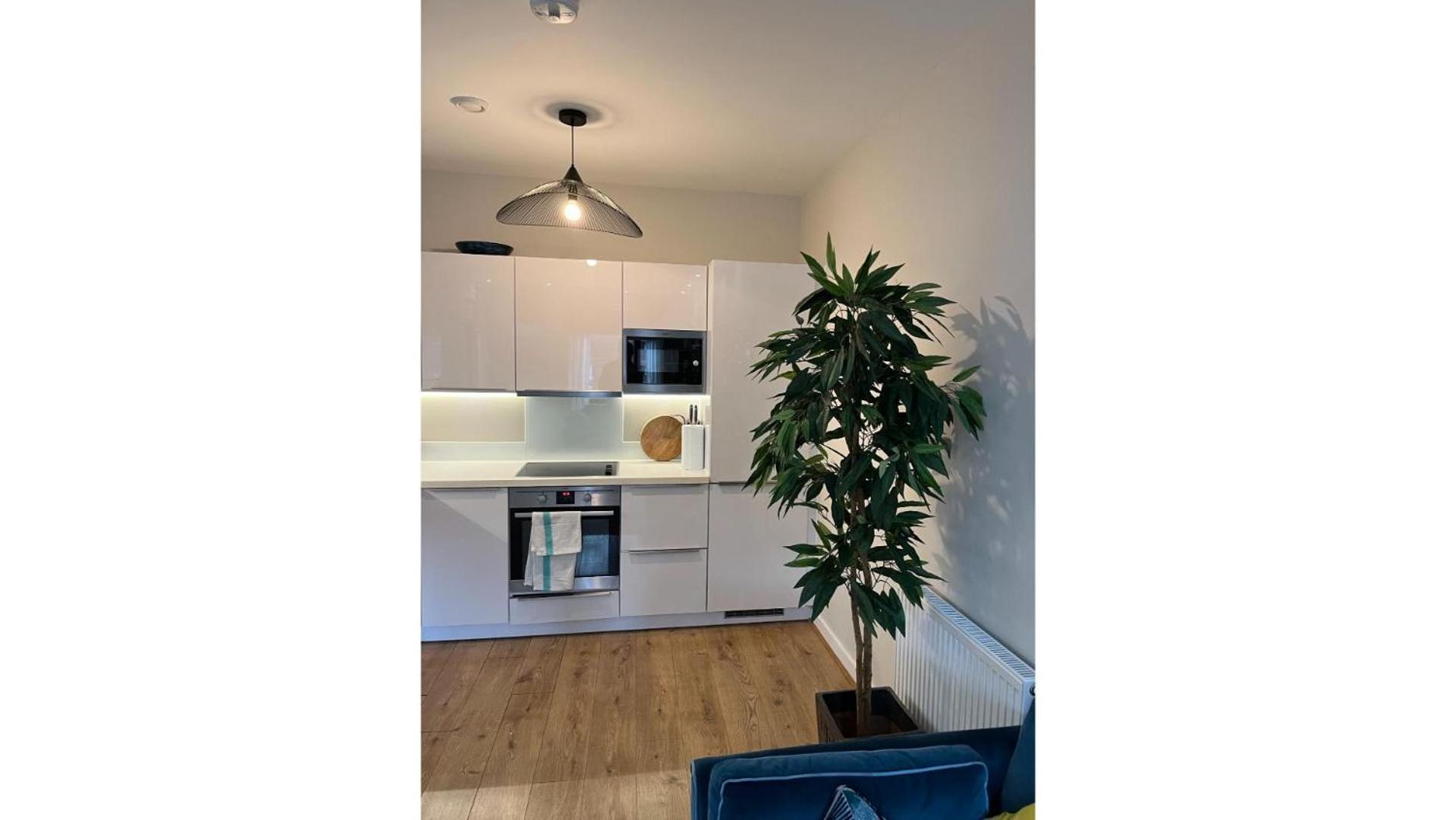Fantastic Modern 2 Bedroom Flat In Lambeth Londyn Zewnętrze zdjęcie